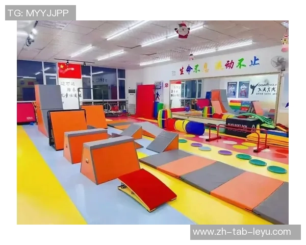 小班户外体育器械的多样化应用与儿童身体素质提升研究